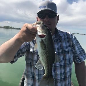 Meet your Posher, Bart